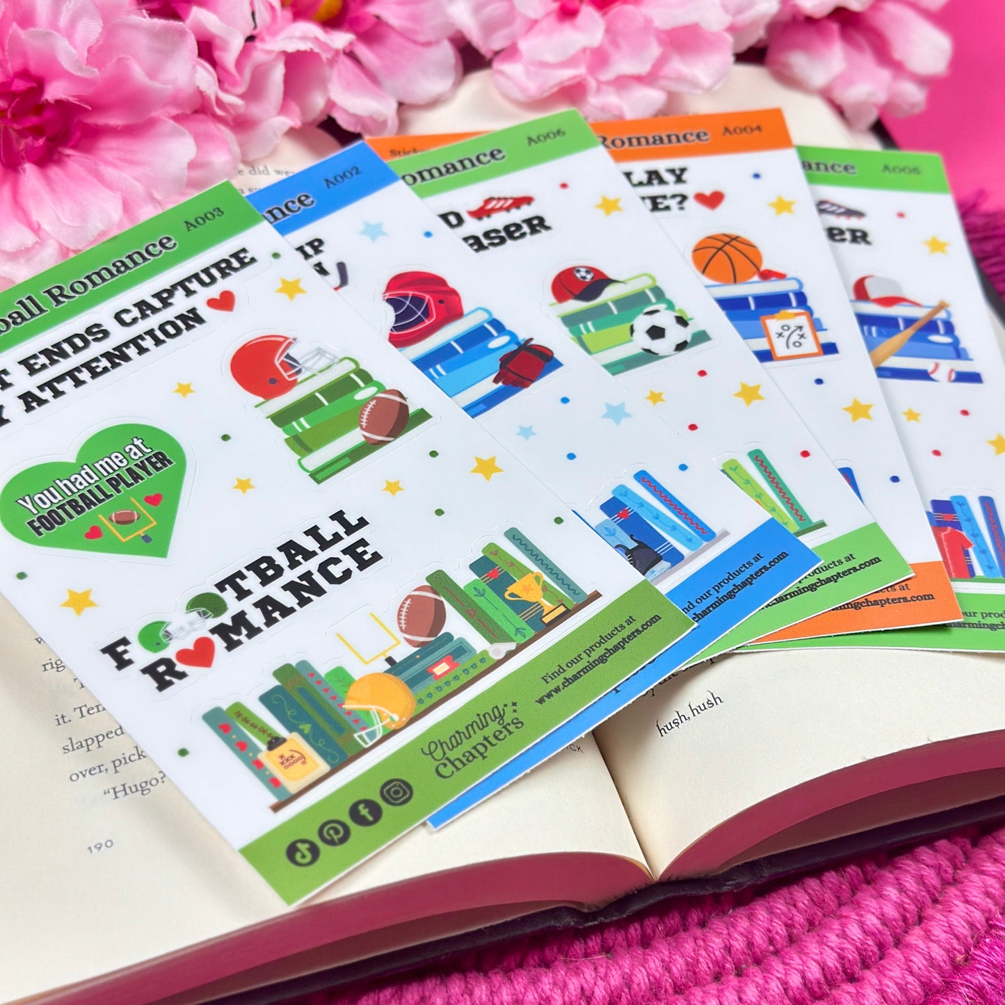 Football Romance Vinyl Sticker Sheet
