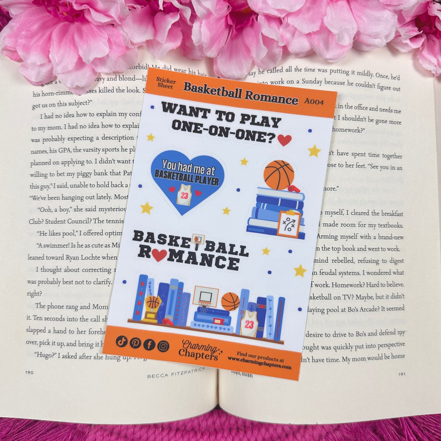 Basketball Romance Vinyl Sticker Sheet