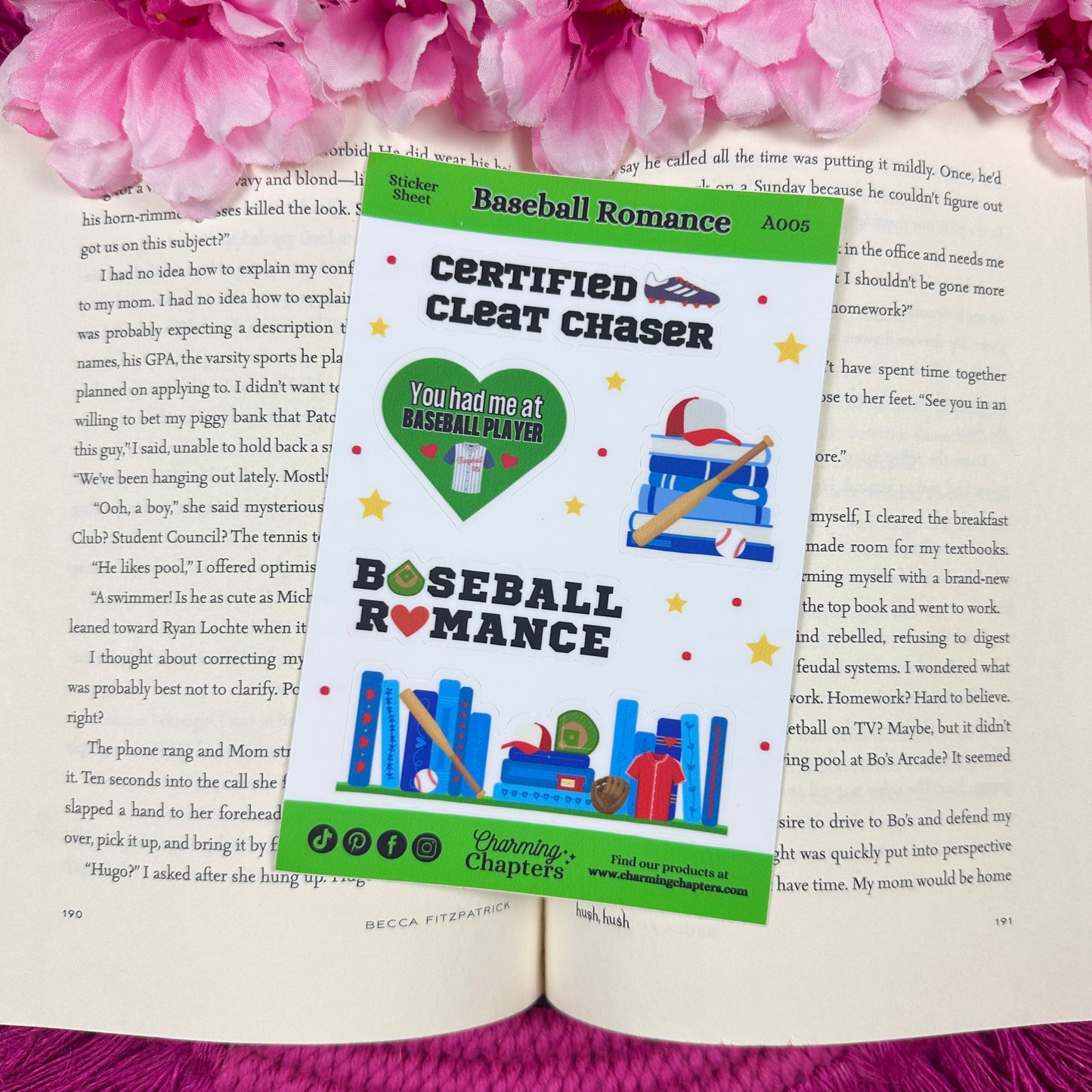 Baseball Romance Vinyl Sticker Sheet