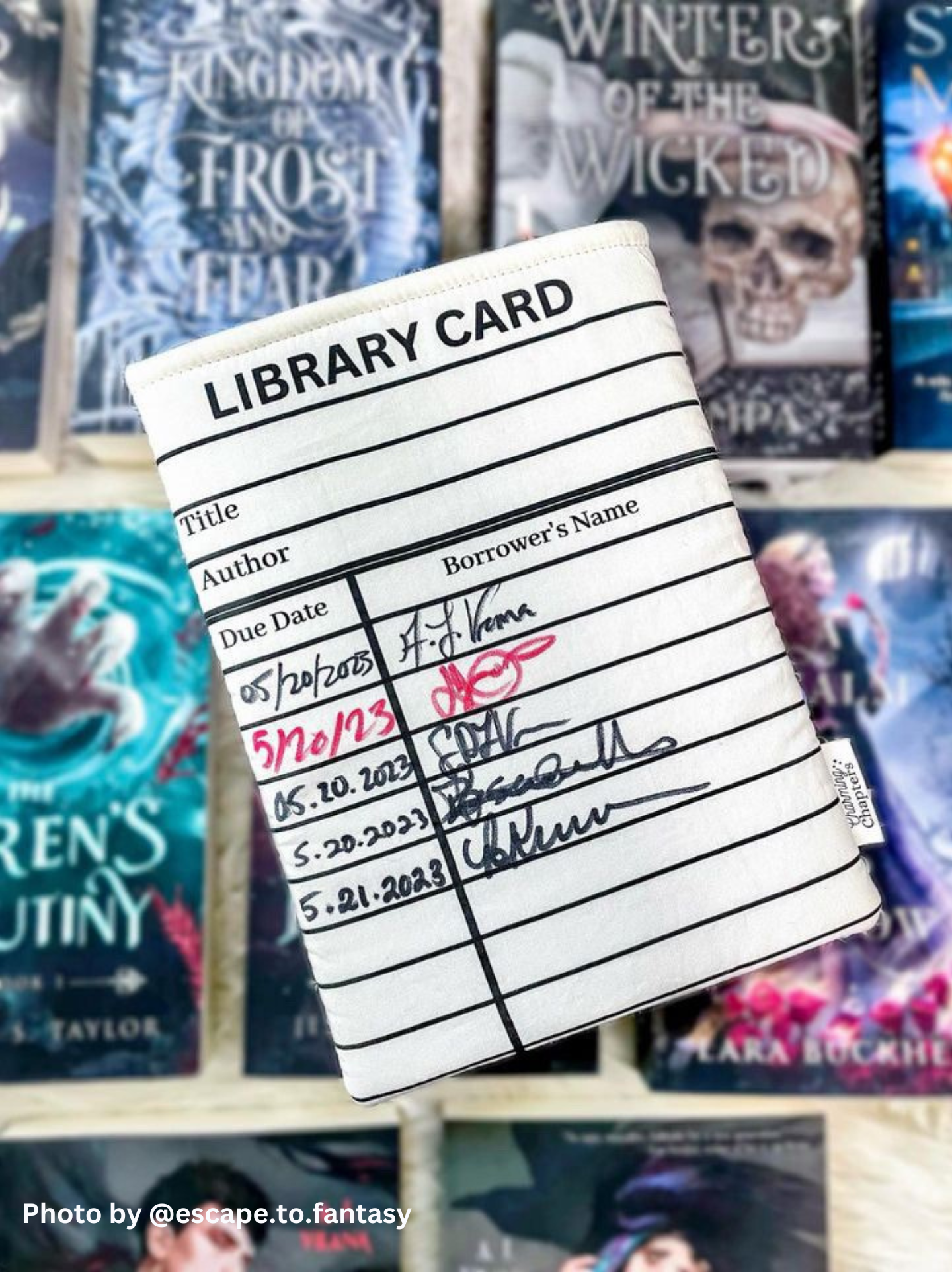 PREORDER: Teal & Black Library Card Book Sleeve