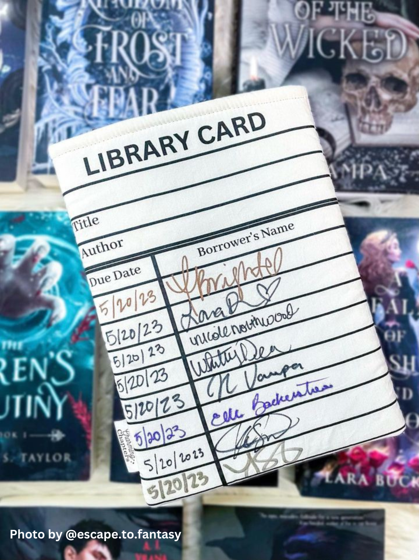 Blue Library Card Book Sleeve