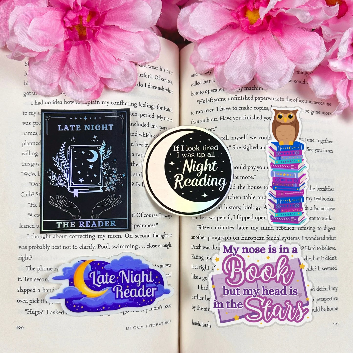 Late Night Reader Mystery Grab Bag